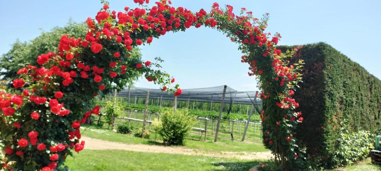 Agriturismo Fondo Novelle La Casina Ferrara Ngoại thất bức ảnh