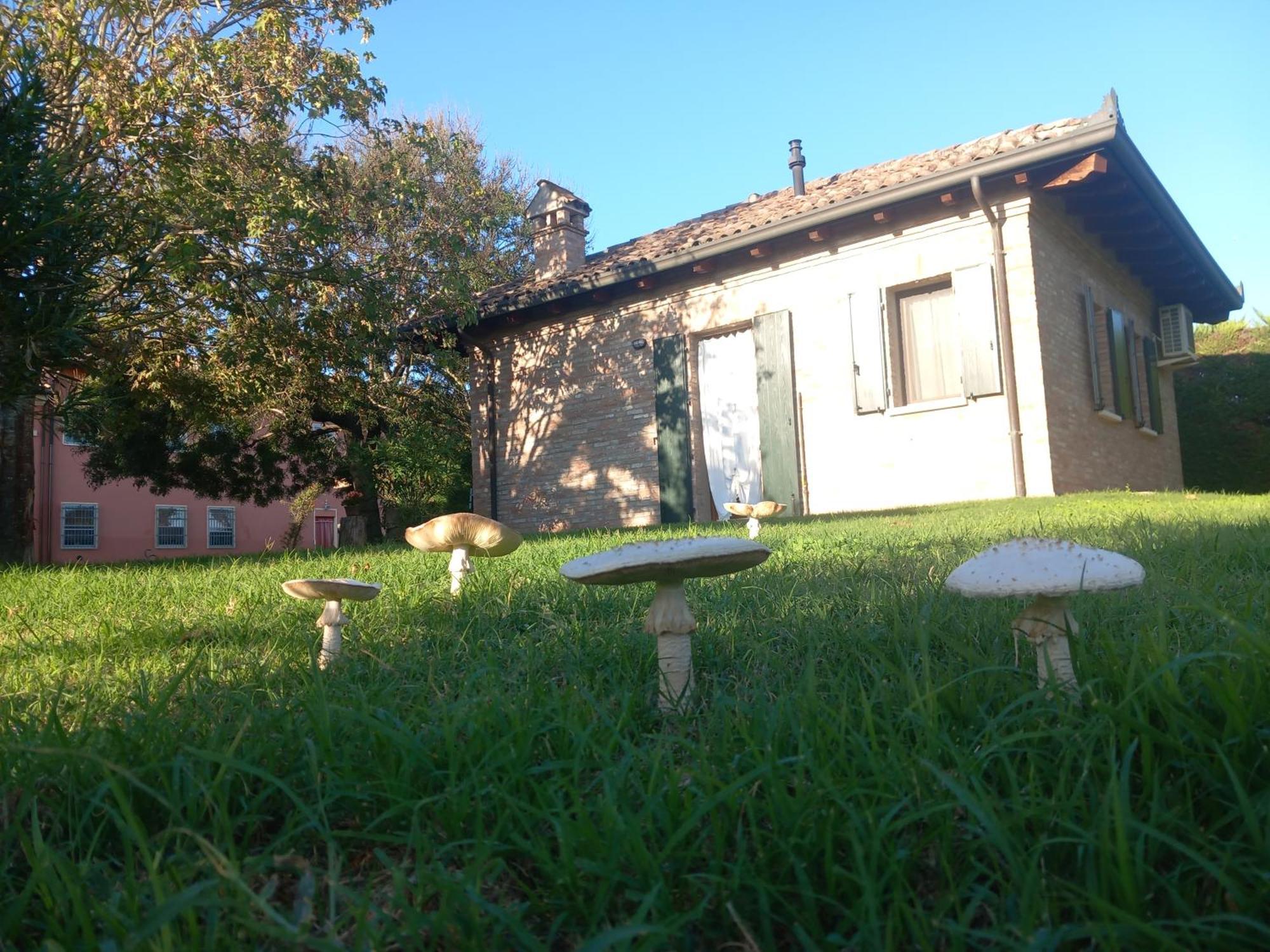 Agriturismo Fondo Novelle La Casina Ferrara Ngoại thất bức ảnh